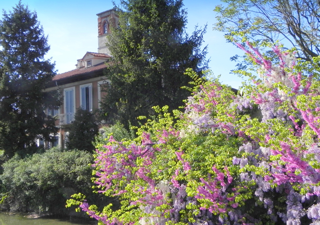 villa Petrovic new
