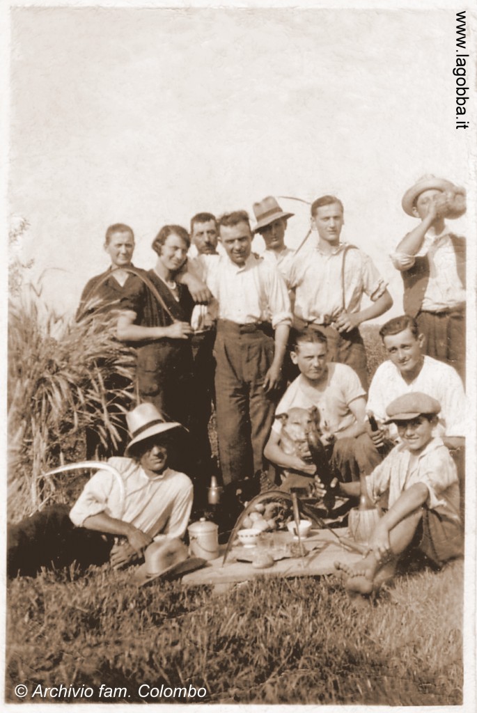 1933 tag