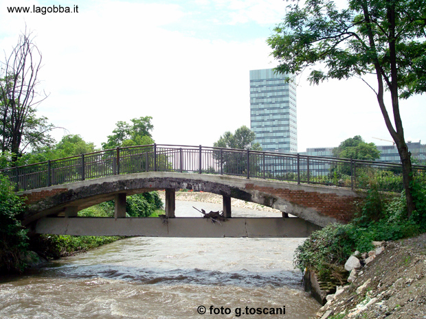 Il ponte del Lupo in una fotografia delgiugno 2008. 