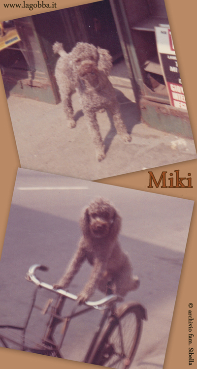 Miki